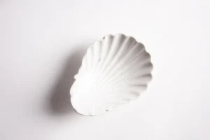 Bitossi Home Piattino Conchiglia Ginori '800- Piatti