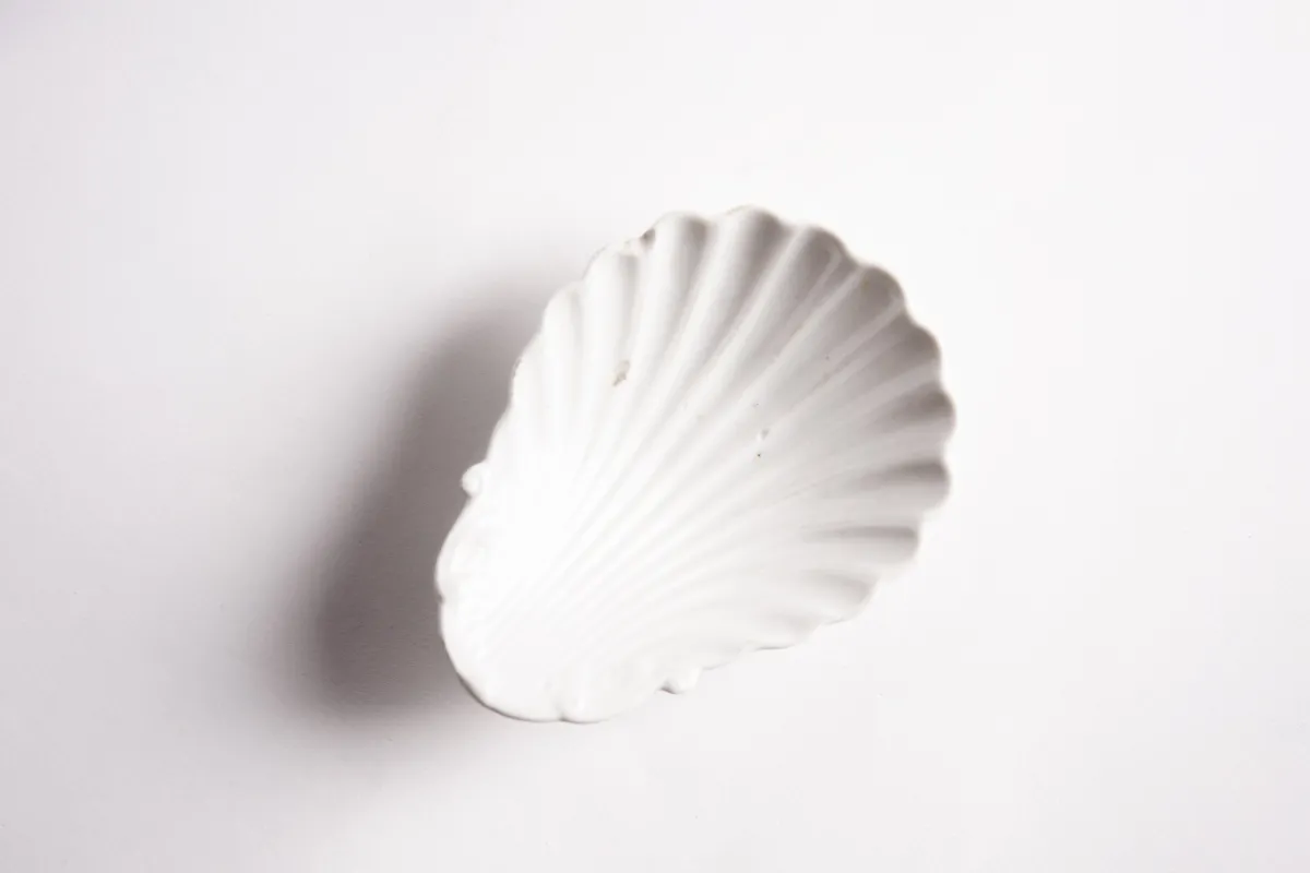 piattino_conchiglia_ginor_0.webp Bitossi Home Piattino Conchiglia Ginori '800- Piatti